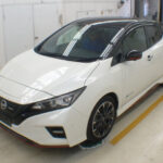 NISSAN LEAF NISMO photo 17