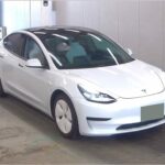 TESLA MODEL 3 PLUS-SPACE X photo 20