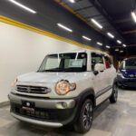 Suzuki Xbee MX photo 13