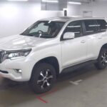 TOYOTA PRADO TX photo 3