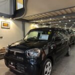 Suzuki Alto S LED Safety photo 4