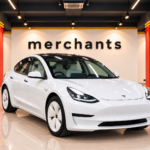 TESLA MODEL 3 PLUS-SPACE X photo 1
